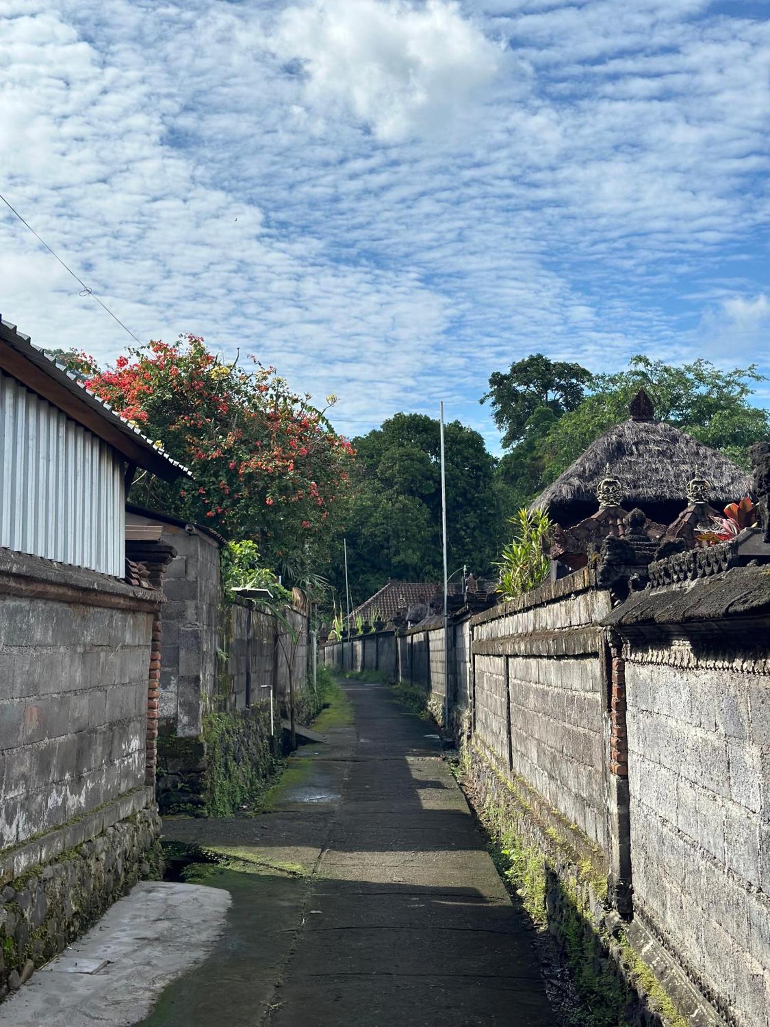 Made Putu Homestay サイドメン エクステリア 写真